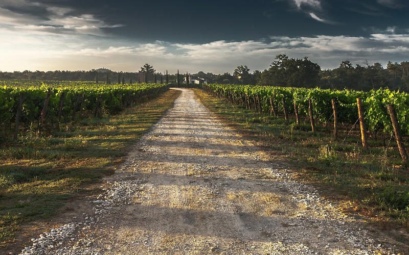 En defensa dels allotjaments rurals del Baix Penedès